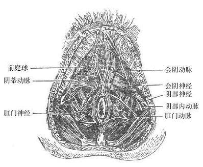 陰蒂穿洞